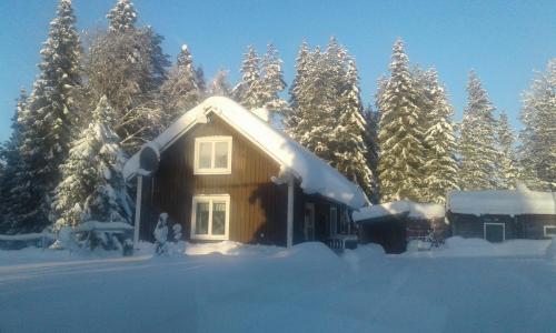 Holiday House in Lapland