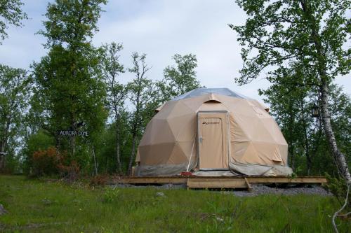 Aurora Dome