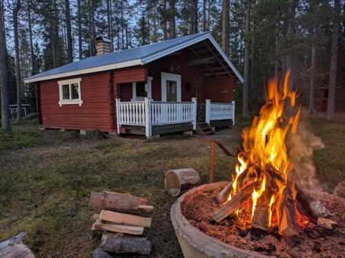 Pine Tree Cabin