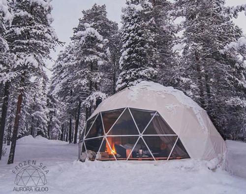 Frozen Sea Aurora Igloo