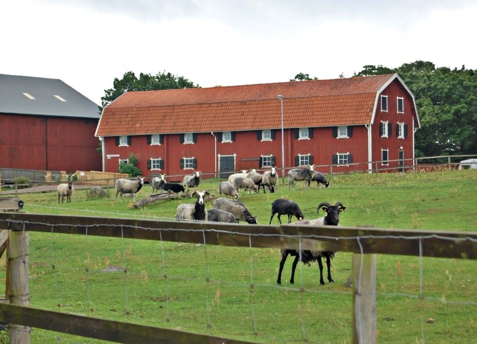 Bildresultat fÃ¶r skÃ¤lby gÃ¥rd kalmar